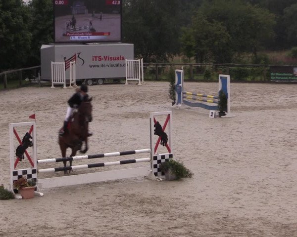 Reitturnier Monschau-Mützenich 2019