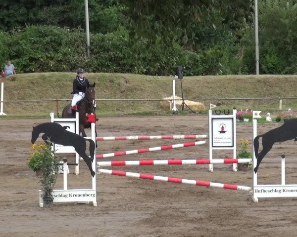 Reitturnier Neuss-Uedesheim 2019