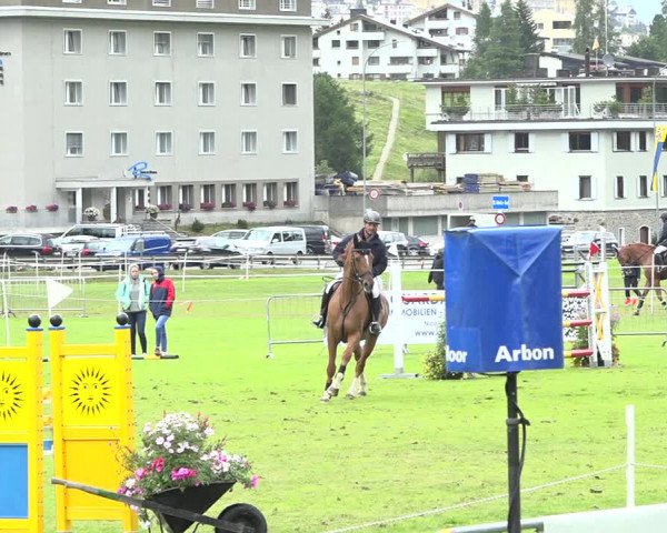 Reitturnier St. Moritz 2019