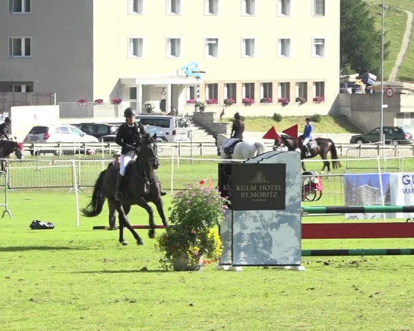 Reitturnier St. Moritz 2019