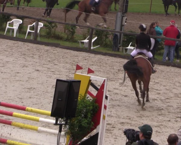 Reitturnier Monschau-Mützenich 2019