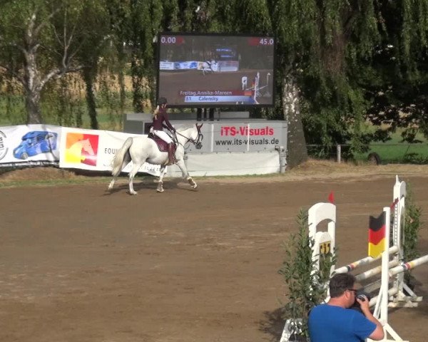 Reitturnier Neuss-Uedesheim 2019