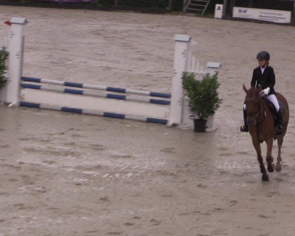 Reitturnier Monschau-Mützenich 2019