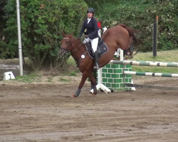 Reitturnier Neuss-Uedesheim 2019