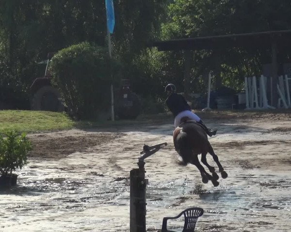 Reitturnier Neuss-Uedesheim 2019