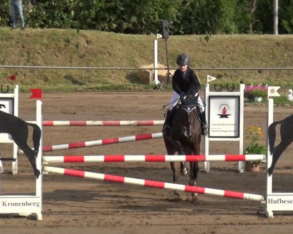 Reitturnier Neuss-Uedesheim 2019