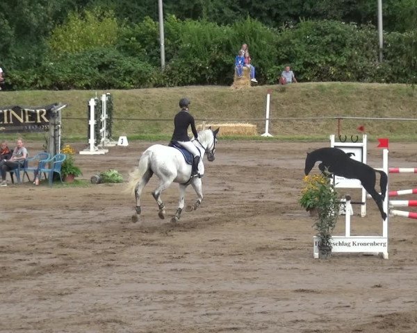 Reitturnier Neuss-Uedesheim 2019