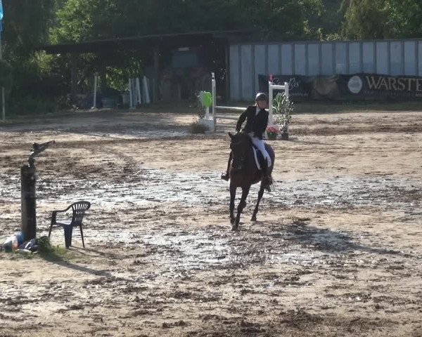 Reitturnier Neuss-Uedesheim 2019