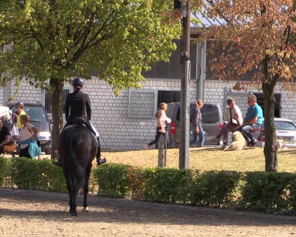 Reitturnier Olfen-Vinnum 2019