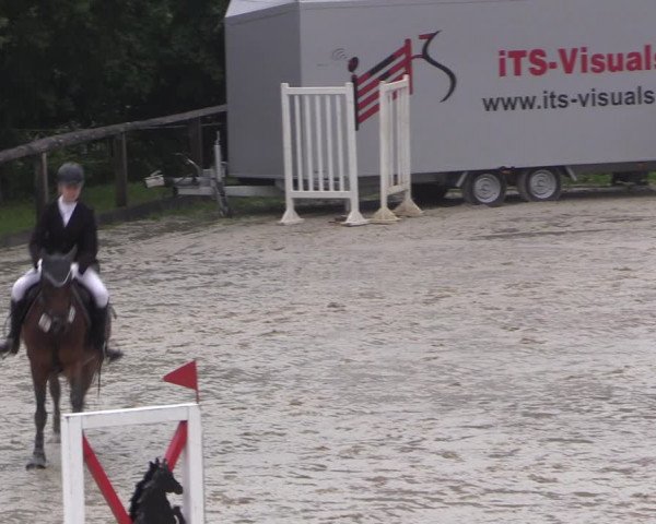 Reitturnier Monschau-Mützenich 2019