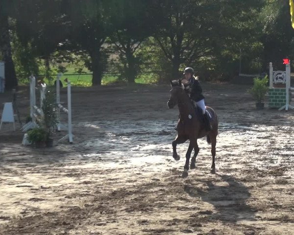 Reitturnier Neuss-Uedesheim 2019