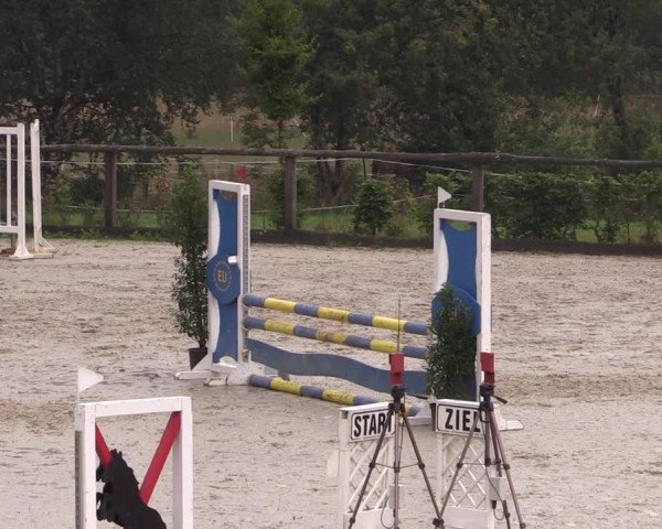 Reitturnier Monschau-Mützenich 2019