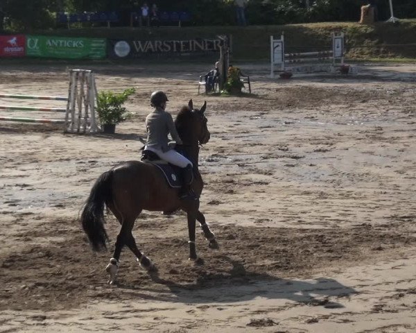 Reitturnier Neuss-Uedesheim 2019