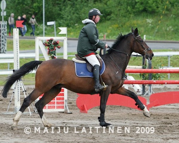 Springpferd Jasmin du Rouet (Selle Français, 1997, von Vas Y Donc Longane)