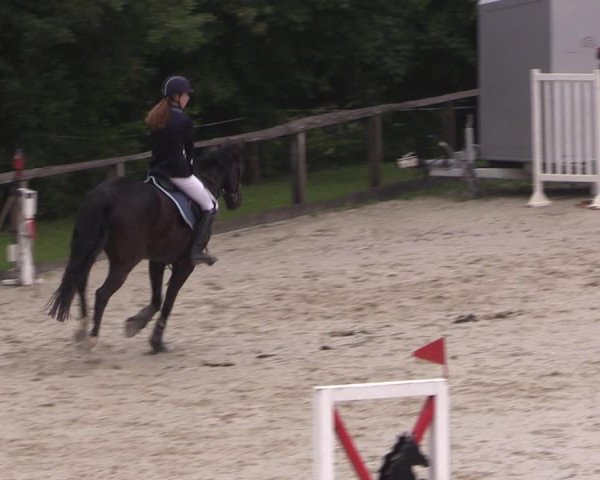 Reitturnier Monschau-Mützenich 2019