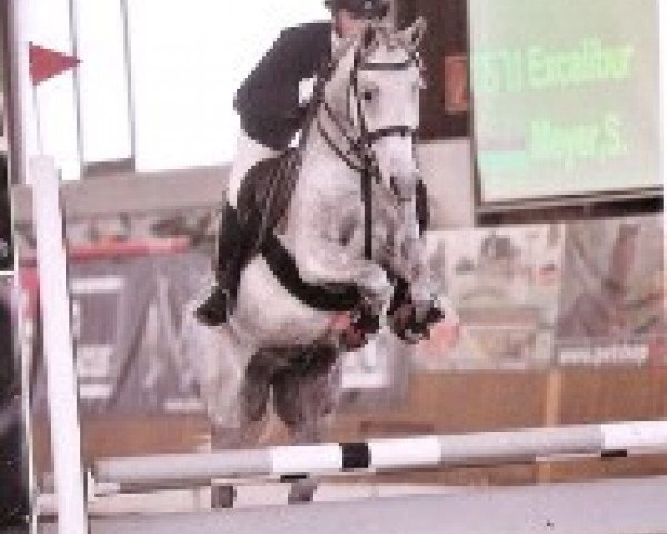 Springpferd Excalibur 111 (Deutsches Reitpony, 2000, von Ermelo Schueracher)