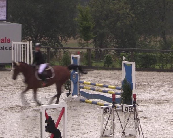 Reitturnier Monschau-Mützenich 2019
