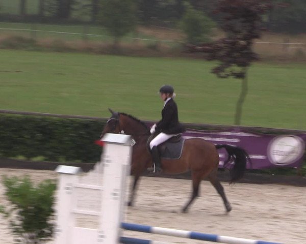 Reitturnier Monschau-Mützenich 2019