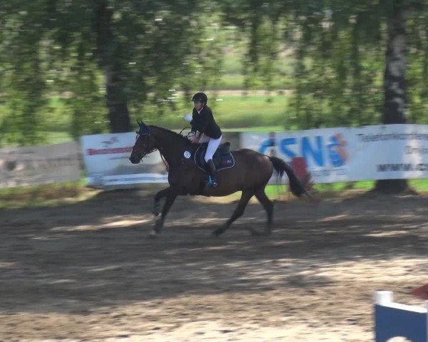 Reitturnier Neuss-Uedesheim 2019