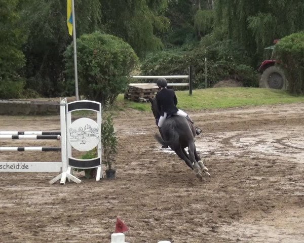 Reitturnier Neuss-Uedesheim 2019