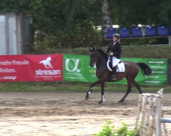 Reitturnier Neuss-Uedesheim 2019