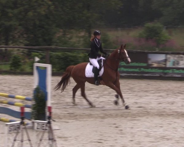 Reitturnier Monschau-Mützenich 2019