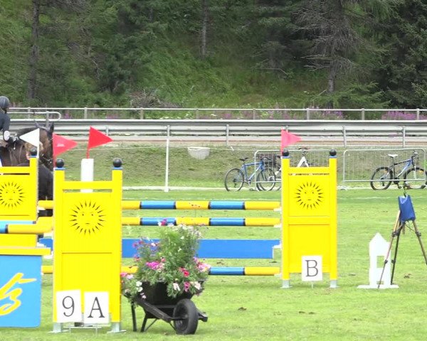 Reitturnier St. Moritz 2019