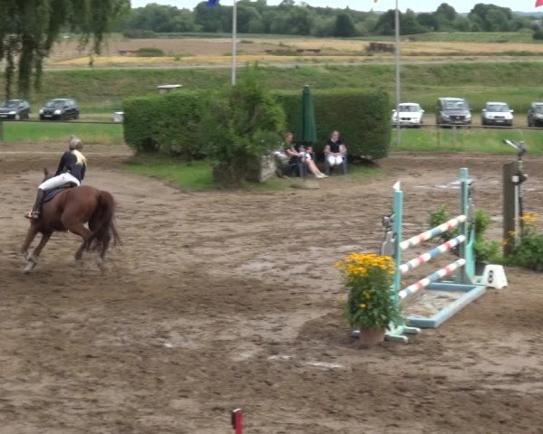 Reitturnier Neuss-Uedesheim 2019