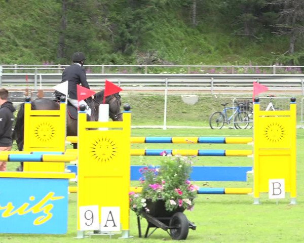 Reitturnier St. Moritz 2019