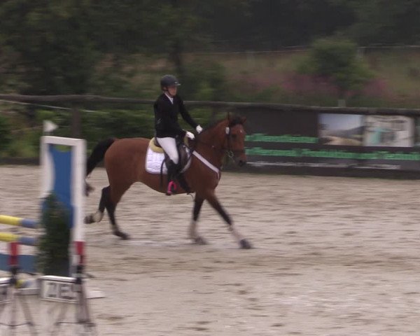 Reitturnier Monschau-Mützenich 2019