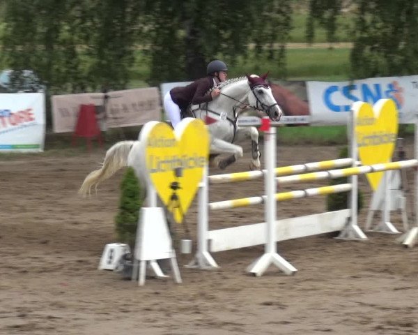 Reitturnier Neuss-Uedesheim 2019