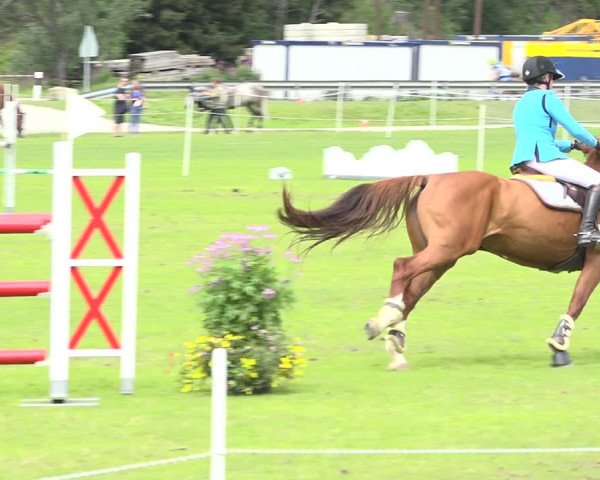 Reitturnier St. Moritz 2019