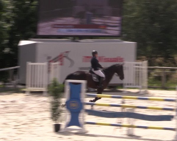 Reitturnier Monschau-Mützenich 2019