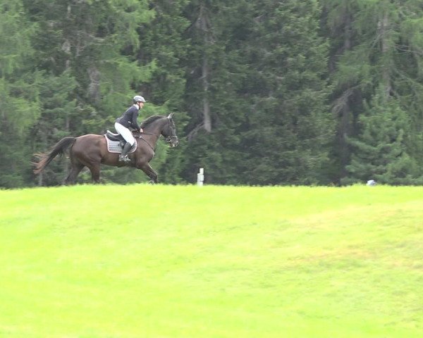 Reitturnier St. Moritz 2019