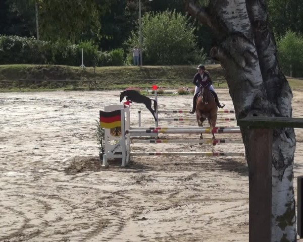 Reitturnier Neuss-Uedesheim 2019