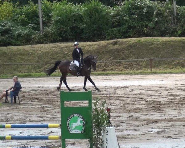 Reitturnier Neuss-Uedesheim 2019