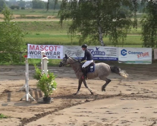 Reitturnier Neuss-Uedesheim 2019