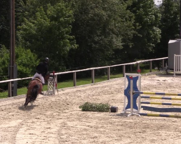Reitturnier Monschau-Mützenich 2019