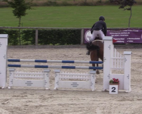 Reitturnier Monschau-Mützenich 2019