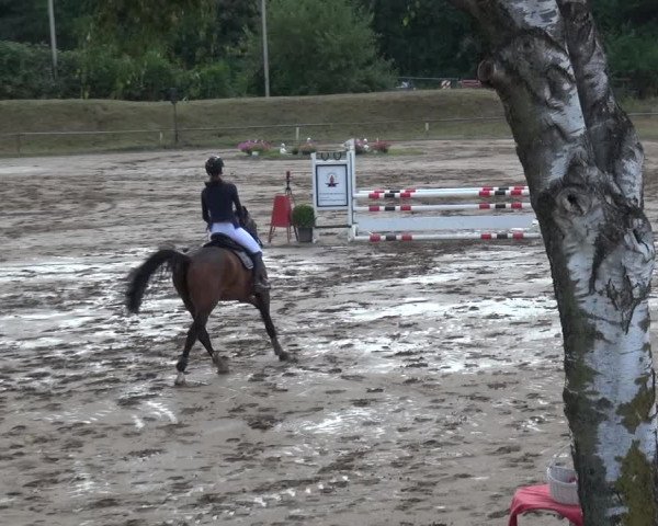 Reitturnier Neuss-Uedesheim 2019