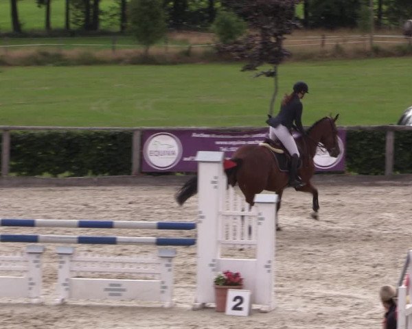 Reitturnier Monschau-Mützenich 2019