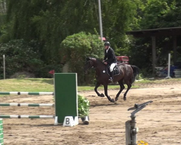 Reitturnier Neuss-Uedesheim 2019