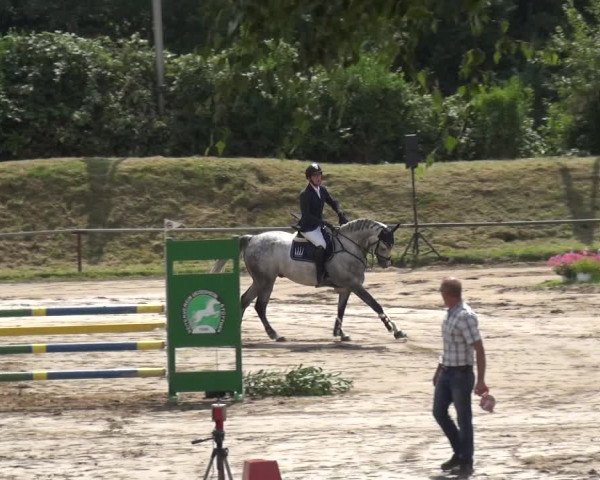 Reitturnier Neuss-Uedesheim 2019