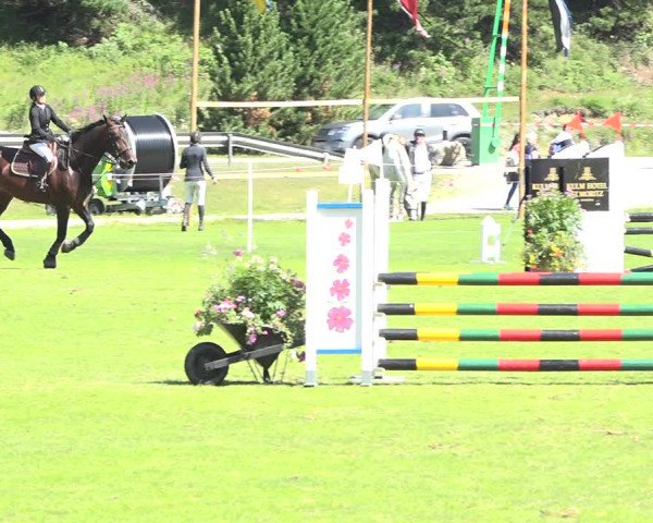 Reitturnier St. Moritz 2019