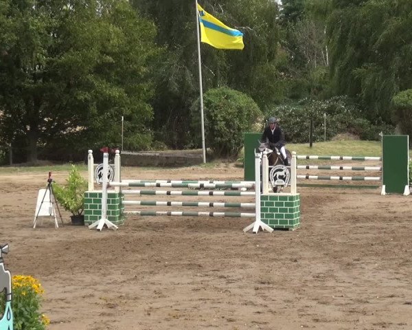 Reitturnier Neuss-Uedesheim 2019