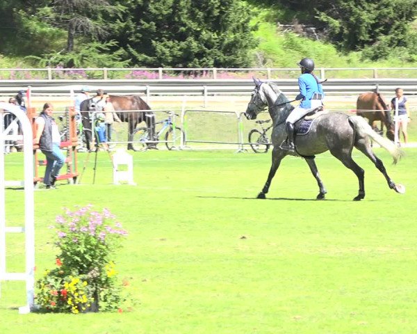 Reitturnier St. Moritz 2019