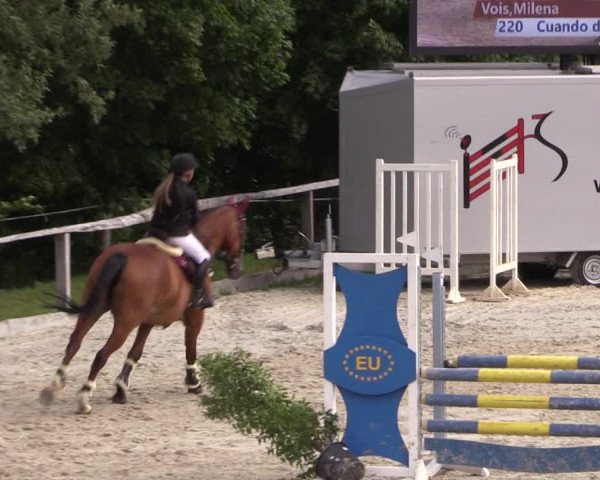 Reitturnier Monschau-Mützenich 2019