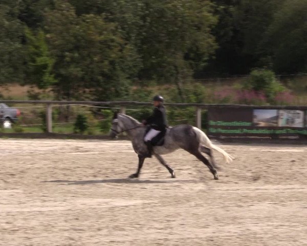 Reitturnier Monschau-Mützenich 2019