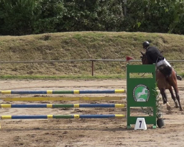 Reitturnier Neuss-Uedesheim 2019