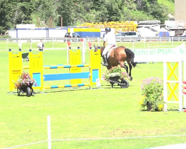 Reitturnier St. Moritz 2019